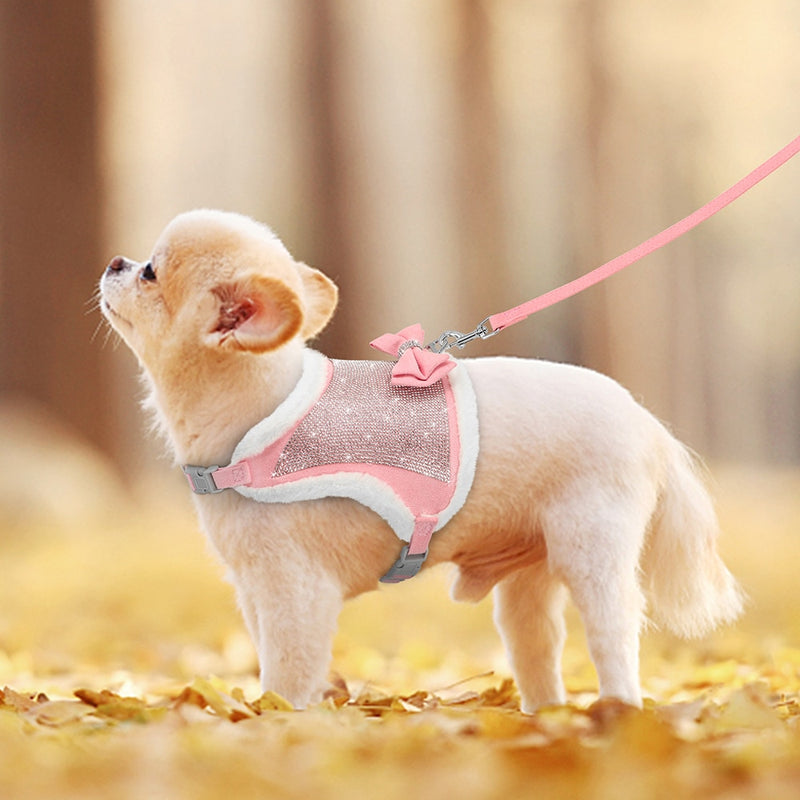 coleira para cadela, coleira para pet, coleira para cachorro, coleira para fêmeas, coleira para raças pequenas, coleira luxuosa, coleira bonita, coleira com strass, coleira brilhante, mundomiauauau, miauauau