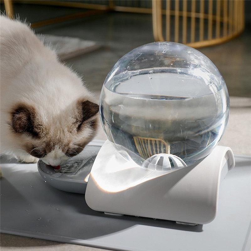 bebedouro para gatos, bebedouro automático para gatos, fonte de água automática para gatos, fonte de água para gatos, mundo miauauau, miauauau