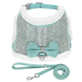 coleira para cadela, coleira para pet, coleira para cachorro, coleira para fêmeas, coleira para raças pequenas, coleira luxuosa, coleira bonita, coleira com strass, coleira brilhante, mundomiauauau, miauauau
