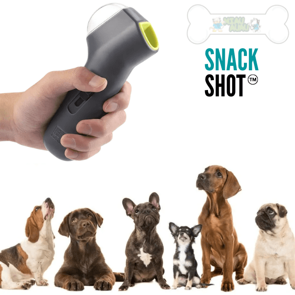 treinamento de cães, lançador de ração para cães, lançador de ração para cachorro, brinquedo lançador de ração, brinquedo para adestramento, brinquedo interativo para cachorro, adestramento de cães, mundomiauauau, miauauau