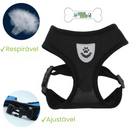 coleira de gato, coleira para gato, coleira peitoral para gatos, coleira anti-fuga para gato, mundomiauauau, miauauau