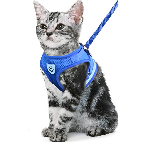 coleira de gato, coleira para gato, coleira peitoral para gatos, coleira anti-fuga para gato, mundomiauauau, miauauau