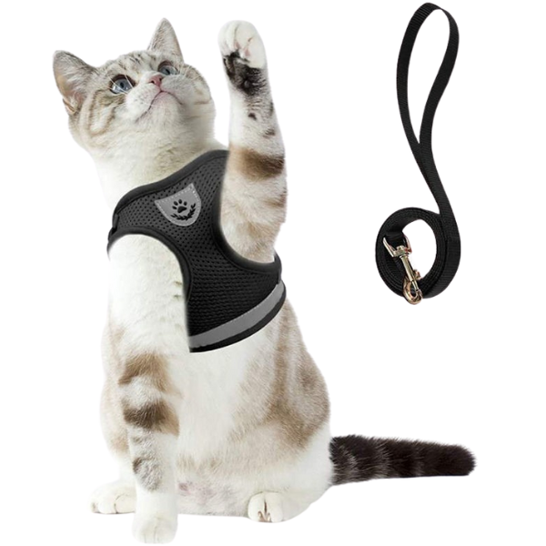 coleira de gato, coleira para gato, coleira peitoral para gatos, coleira anti-fuga para gato, mundomiauauau, miauauau
