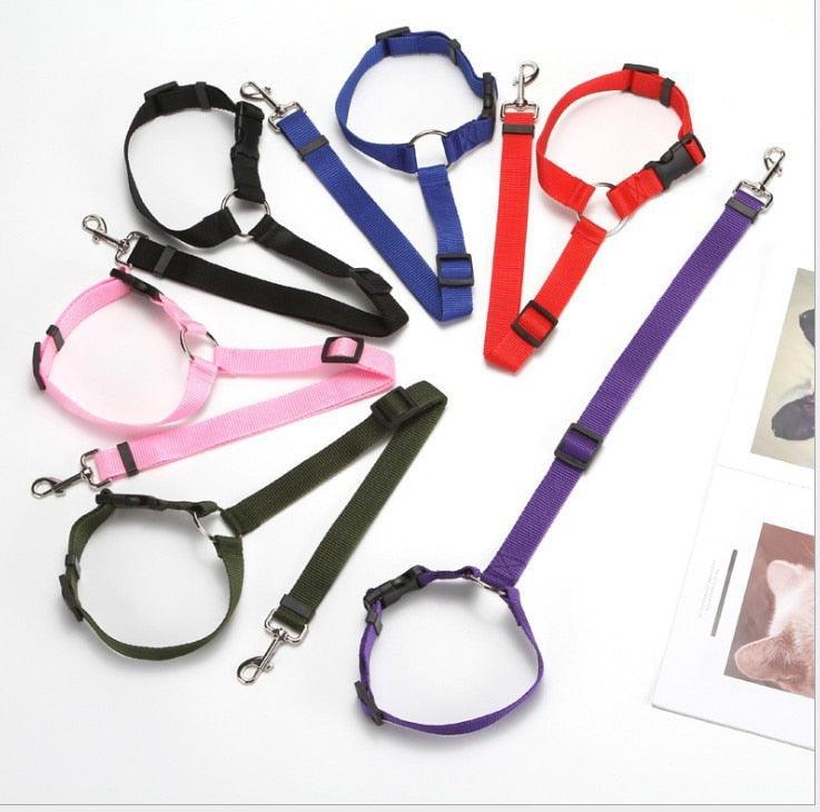 coleira para cachorro, cinto de segurança para cachorro, cinto de segurança para cães, cinto para cachorro multifuncional, cinto de segurança para cachorro em carros, mundomiauauau, miauauau