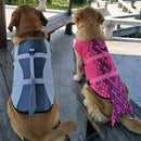 Colete salva-vidas para cachorros - Vest Dog - mundomiauauau