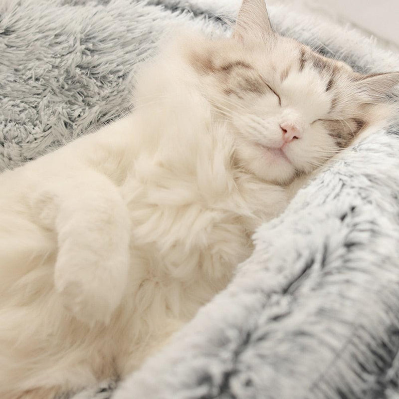 cama nuvem, cama nuvem premium, caminha nuvem premium, caminha para pet, cama para gato, cama para cachorro, melhor cama pet, mundomiauauau, miauauau, cama para cães, cat dreams
