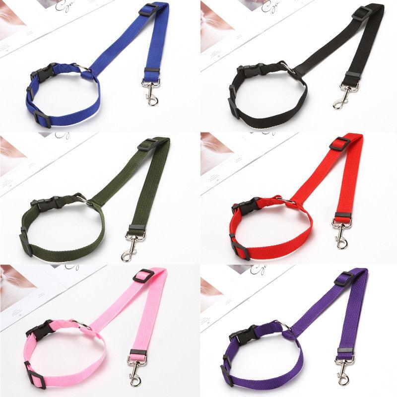 coleira para cachorro, cinto de segurança para cachorro, cinto de segurança para cães, cinto para cachorro multifuncional, cinto de segurança para cachorro em carros, mundomiauauau, miauauau