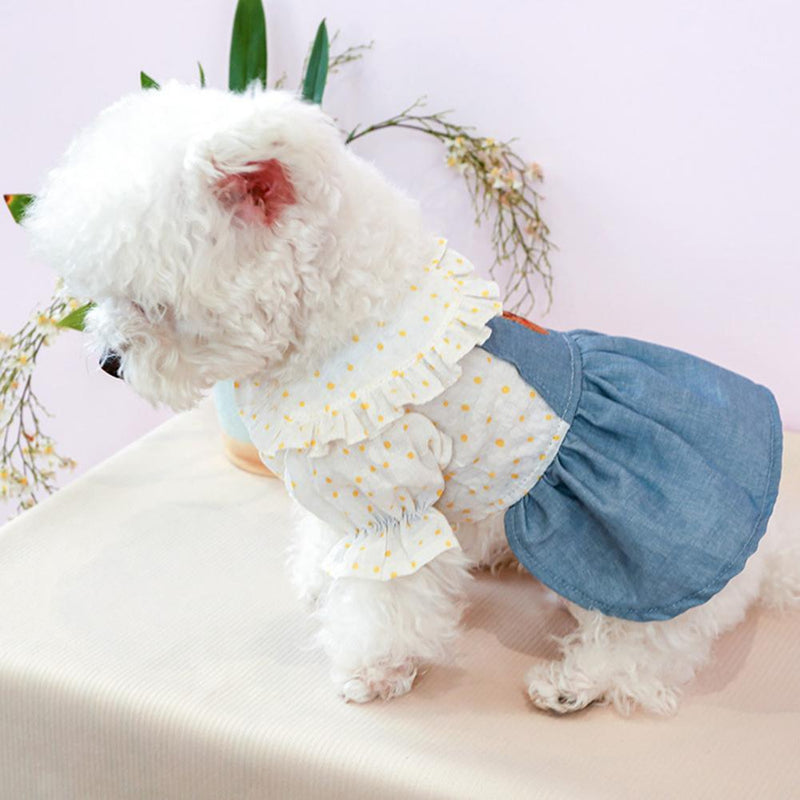 vestido pet, vestido para cachorro pequeno, vestido para cães pequenos, maltês, shih tzu, bulldog, poodle, yorkshire, mundomiauauau, miauauau