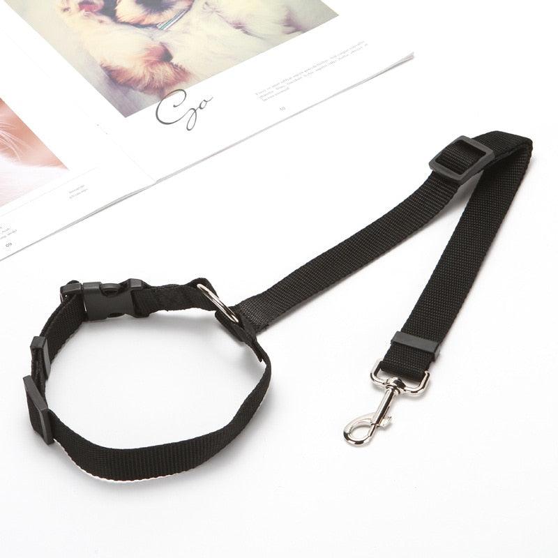 coleira para cachorro, cinto de segurança para cachorro, cinto de segurança para cães, cinto para cachorro multifuncional, cinto de segurança para cachorro em carros, mundomiauauau, miauauau