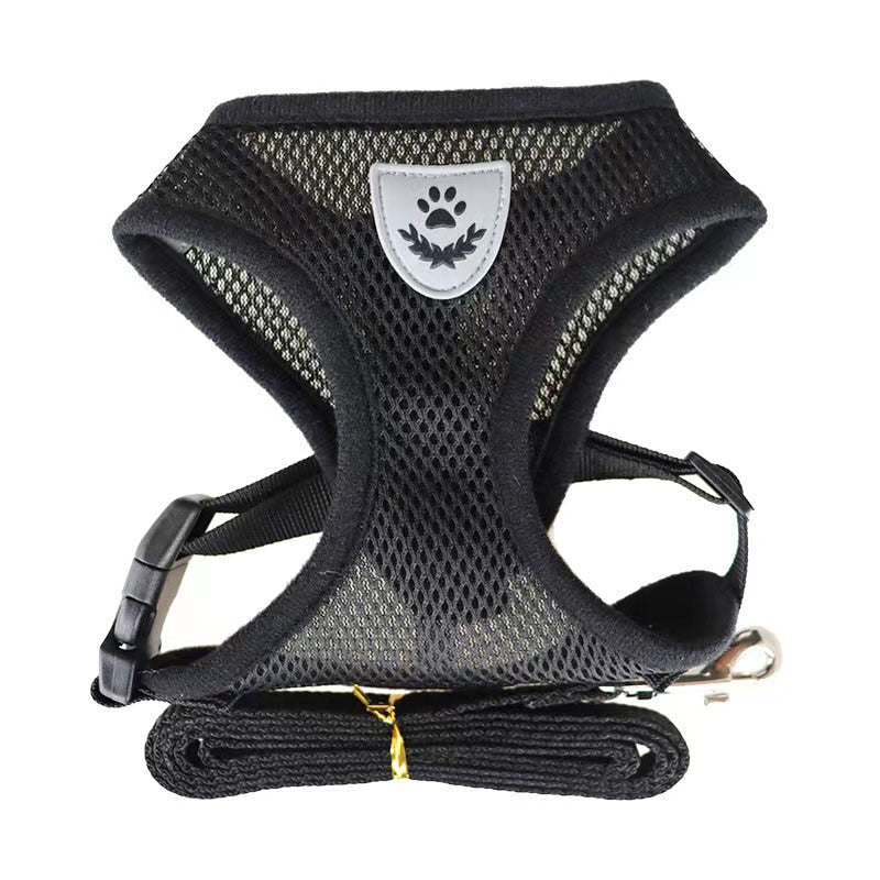 coleira de gato, coleira para gato, coleira peitoral para gatos, coleira anti-fuga para gato, mundomiauauau, miauauau
