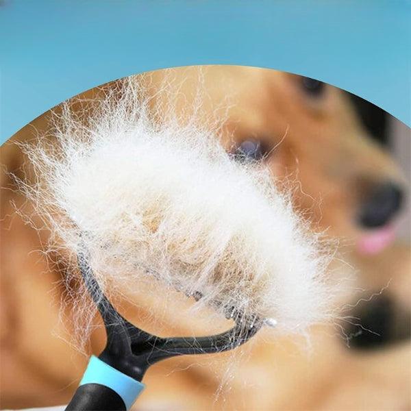 Escova Rasqueadeira para Cães e Gatos , rasqueadeira, cachorro, gato, Clipper Pro, mundomiauauau, miauauau