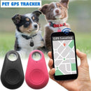 gps para cachorro, tag para cachorro, mini gps para cães, rastreador pet, rastreador gps para pet, rastreador gps para gatos, mundomiauau, miauauau