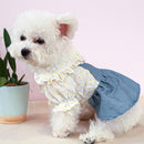 vestido pet, vestido para cachorro pequeno, vestido para cães pequenos, maltês, shih tzu, bulldog, poodle, yorkshire, mundomiauauau, miauauau