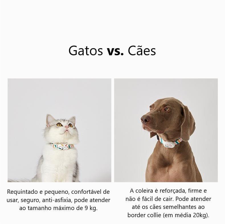 Coleira Inteligente Rastreável - Pet BBB - mundomiauauau