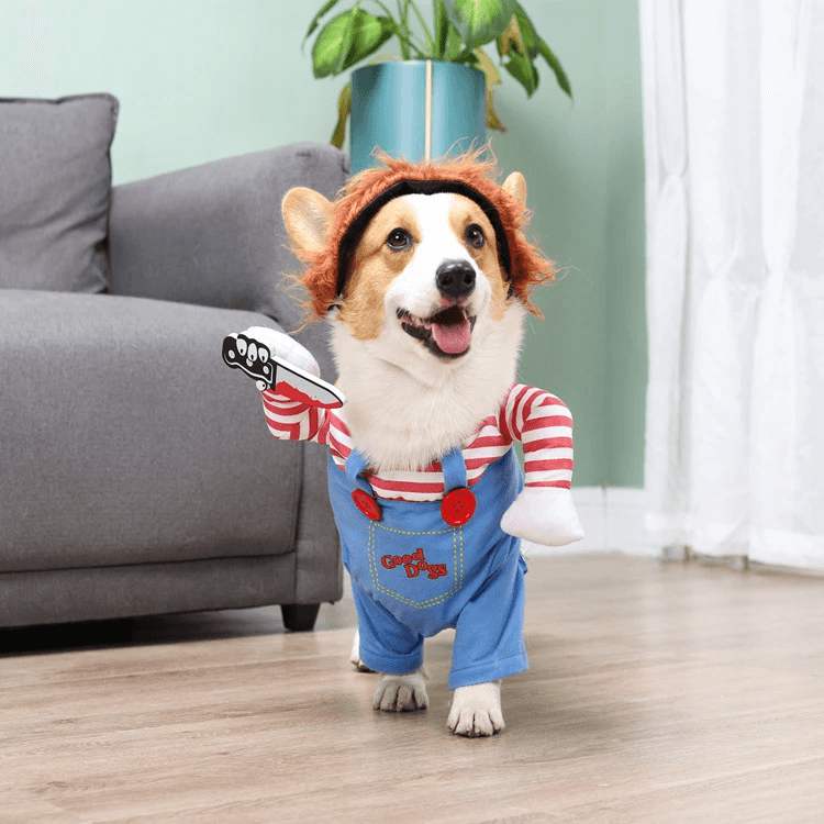 fantasia para cachorro, fantasia para cães, fantasia para pet, fantasia de carnaval para cachorro, miauauau, mundomiauauau
