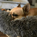 Caminha Nuvem Premium para Cachorros e Gatos - Soft Bed - mundomiauauau