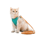 Coleira Anti-fuga para Gatos - Smart Cat - mundomiauauau