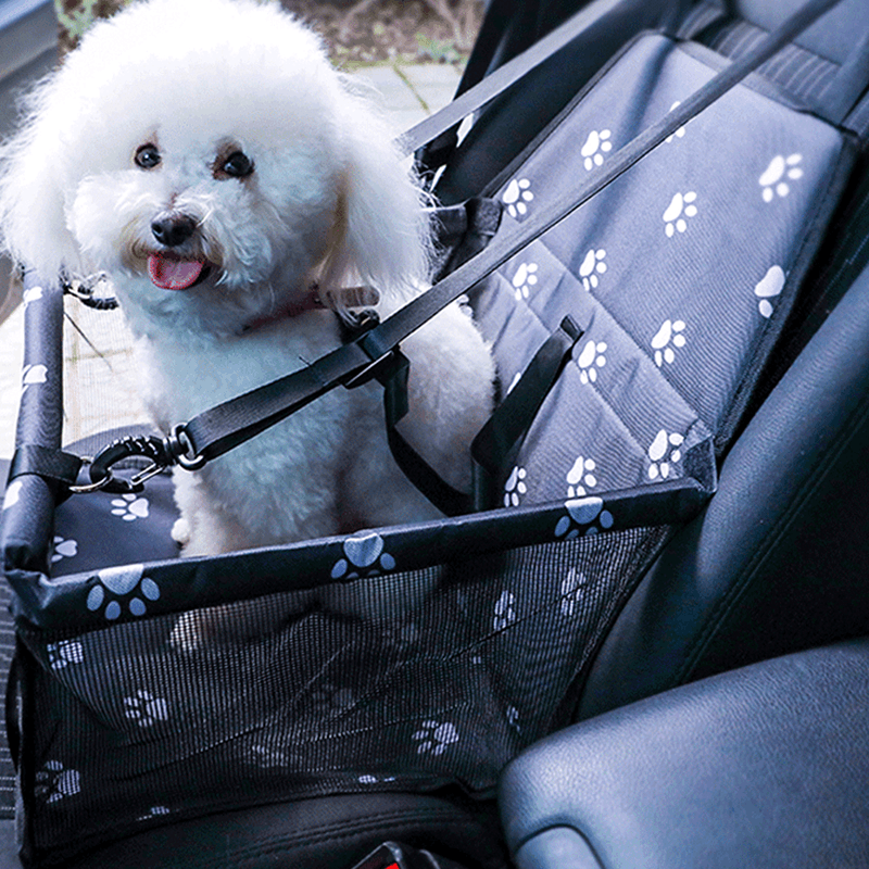 cadeirinha para cachorro, cadeira para cachorro, cadeira para pet, cadeira de transporte para pet, cadeira pet para carro, cadeirinha para cachorro de pequeno porte, mundomiauauau, miauauau