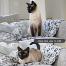 cobertor para cachorro, cobertor para filhote, cobertor para gato, cobertor de lã, cobertor de lã para pet, melhor cobertor para cachorro, melhor cobertor para gatos, cobertor pet para frio, mundomiauauau, miauauau