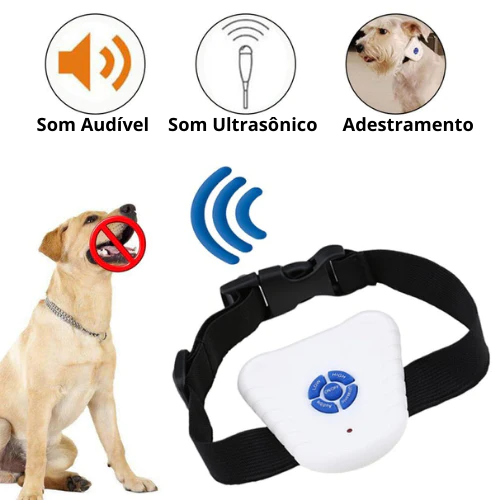 coleira antilatido, coleira sem choque, coleira para adestramento, coleira sem choque para cachorro, coleira ultrassonica, melhor coleira antilatido, coleira antilatido funciona, coleira antilatido para cachorro, cães, antilatido, mundomiauauau, miauauau