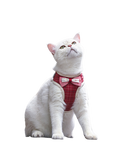 coleira para gato, coleira de gato, coleira com guia para gato, coleira peitoral para gato, melhor coleira para gato, melhor coleira peitoral para gato, mundomiauauau, miauauau, arnes para gato