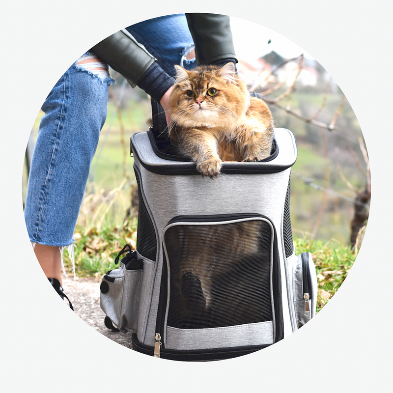 bolsa de transporte para gato, mochila de transporte para gatos, bolsa para transportar gato, melhor bolsa de transporte para gato, bolsa para passear com gato, bolsa para viajar com gato, mundomiauauau, miauauau